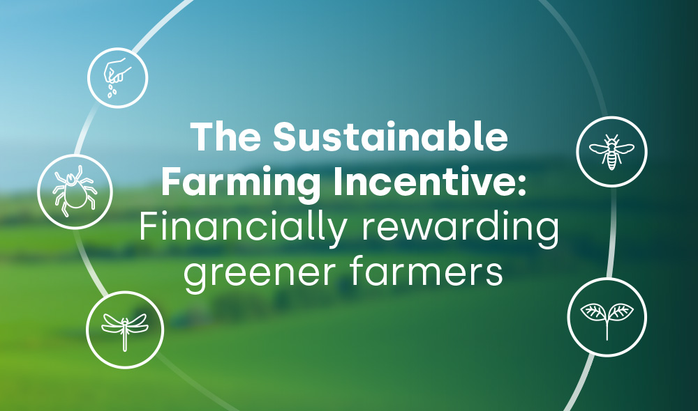 Sustainable Farming Incentive: rewarding greener farmers