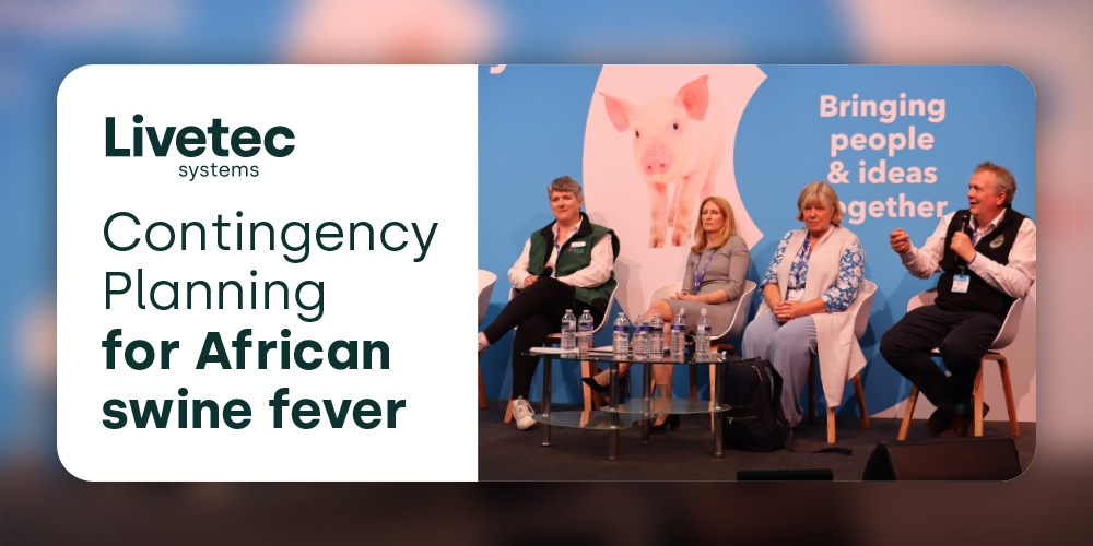 Contingency planning for African swine fever blog graphic